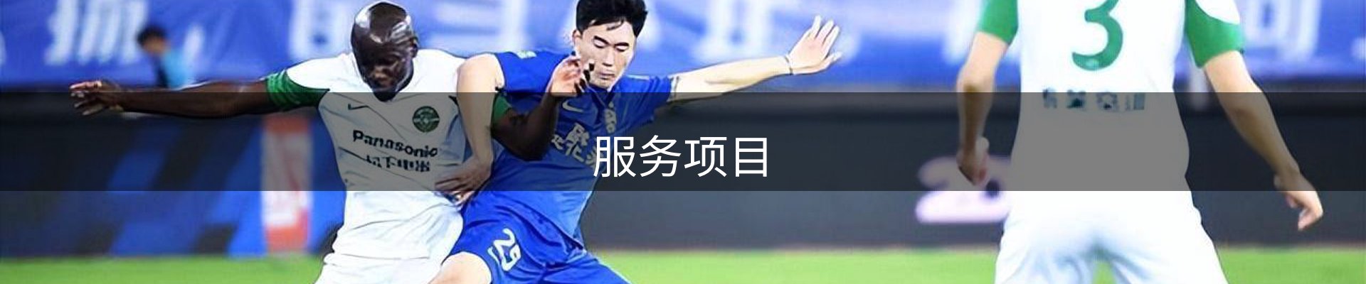 服务项目